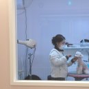 몽블리스 이미지