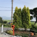 엠제이(MJ)펜션 이미지