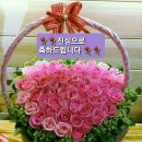 초하님 생일 축하드려요 이미지