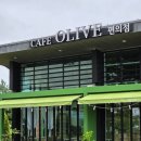 아라애견 | 아라뱃길 애견동반 카페 겸 편의점 올리브 브런치 가능