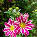 서창초등학교 병설유치원 이미지