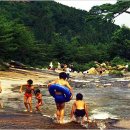 도림사계곡 이미지