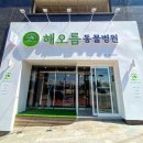 해오름 동물병원 이미지