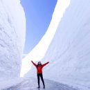 (주)포커스투어 이미지