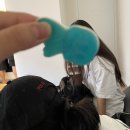 오라돈돈 이미지