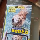 에코 놀이터 | 두돌 아기랑 제주 에코랜드 호텔 부대시설 이용후기(수영장 키즈존 놀이터 도서관 편의점 식당)