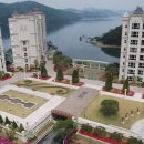 블루아라 이미지