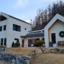 메리도그하우스2 이미지