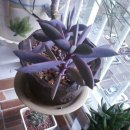 만대초등학교 이미지