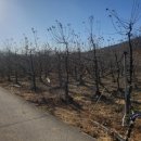 흥이많은농부 이미지