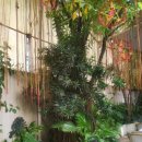 호찌민쌀국수카페 이미지