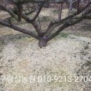 지니농원 이미지