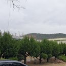 한정초등학교 이미지