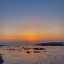 동일리-6 이미지