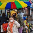 호계 효태권도장 이미지