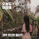 남원읍-62 | 제주 유채꽃 명소 가까운 숙소, 만다린 빌리지에서의 봄날 이야기