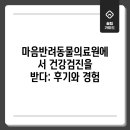 마음반려 동물의료원 | 마음반려동물의료원에서 건강검진을 받다: 후기와 경험