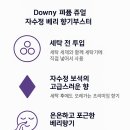 소소한향기 이미지