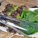 초원삼겹살옥계점 이미지