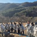 노천초등학교 이미지