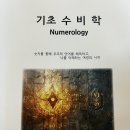 일상에서 활용 가능한 타로 기초 | 한국타로협회 기초 수비학 수강 후기 및 김해 왕꽃설녀 신점타로 추천