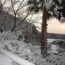 제주카사블랑카 이미지