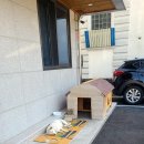 스테이옹치 이미지