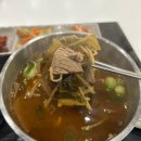 [경기 안성] 서운산 자연휴양림 카라반 3번 숙박 후기