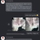 스마일동물병원 이미지