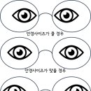 옴니안경원 이미지