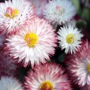 추억이 있는 바다 이미지