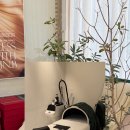 킴스피부관리실 | 제주 도남 피부·전신관리샵 상체 웨딩케어 추천 리본뷰티｜@rebornbeauty_jeju