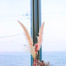 찍고푼