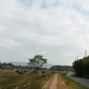 분황사 - 1658 | 분황사