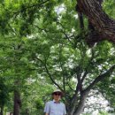 서하목장 이미지