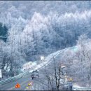 대관령초등학교 이미지