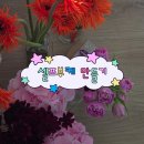 청일헤어 | 🕊 웨딩촬영 소품 준비물 | 고터 꽃시장 셀프부케 만들기