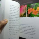 해오름풀꽃 이미지