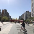 캠브리지영어교습소