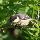 화원유원지 이미지