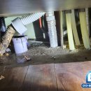 더울림케어 이미지