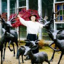 푸른상회 이미지