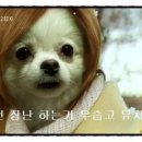 기분