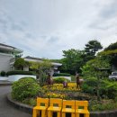 노루와사슴유치원 이미지