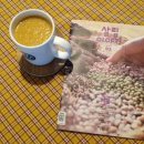 홀링하우스