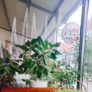 산수팥죽 - 강진군 | 산수팥죽