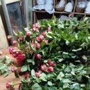 평산농원 이미지