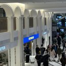 마능 | 강남 신세계 팝업 페스룸 (고양이 간식 구매 후기)