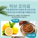 예수진화장품양산