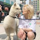 기분 - 서구 | 기분